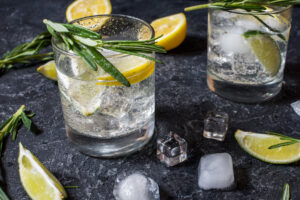 gin and tonic drink