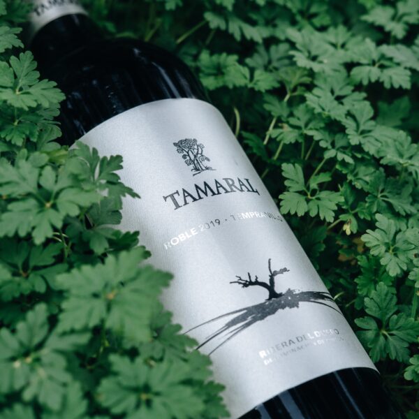 Hiszpańskie wino Tamaral Roble