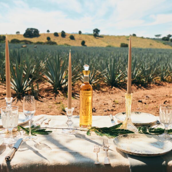 Butelka meksykańskiej tequili Casa Don Ramón Punta Diamante Reposado na stole w plenerze na tle plantacji agawy