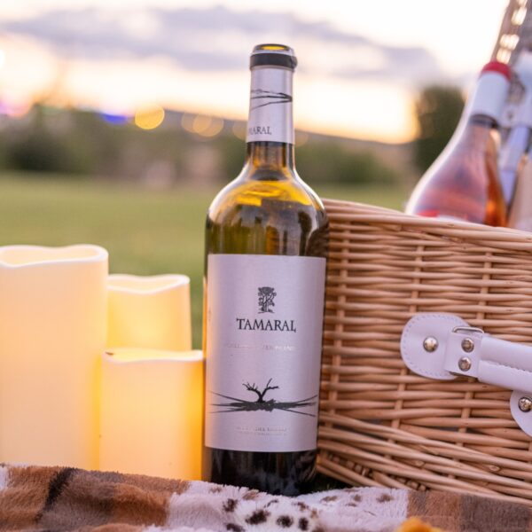Butelka hiszpańskiego wina Tamaral na pikniku