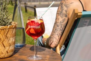 drinks for summer with pampelle