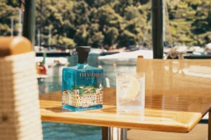 A bottle of Portofino Dry Gin with a cocktail against the scenic backdrop of a harbor – the most interesting alcohols for summer moments.